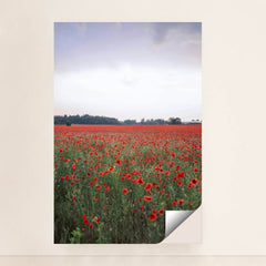 7090289049635 - Product Image