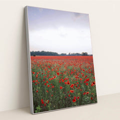 7090289049635 - Product Image