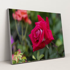 7090345443363 - Product Image