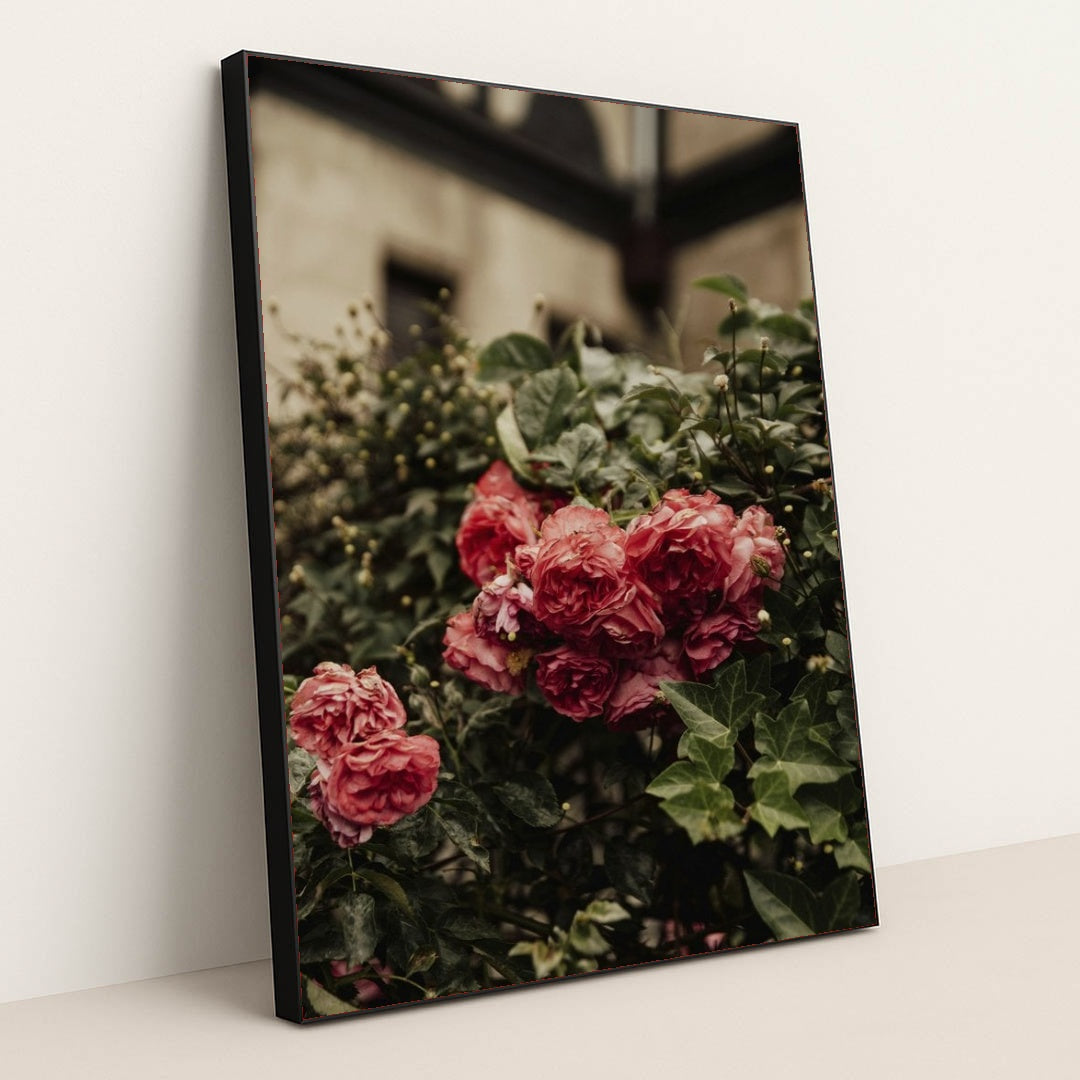 7090298126371 - Product Image