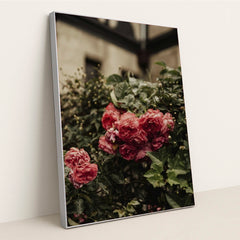 7090298126371 - Product Image