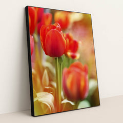 7090346655779 - Product Image