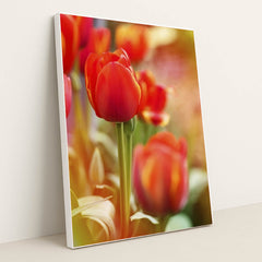 7090346655779 - Product Image