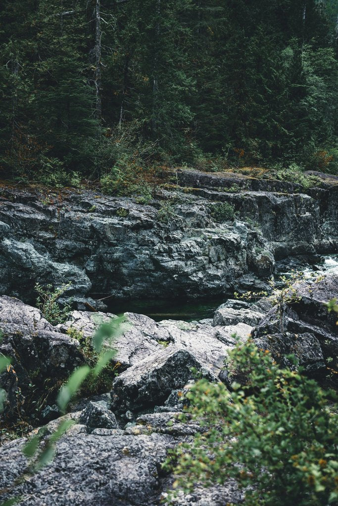 Ali Kazal - Majestic rocky terrain surrounded by dense forest in Tofino, BC, Canada.