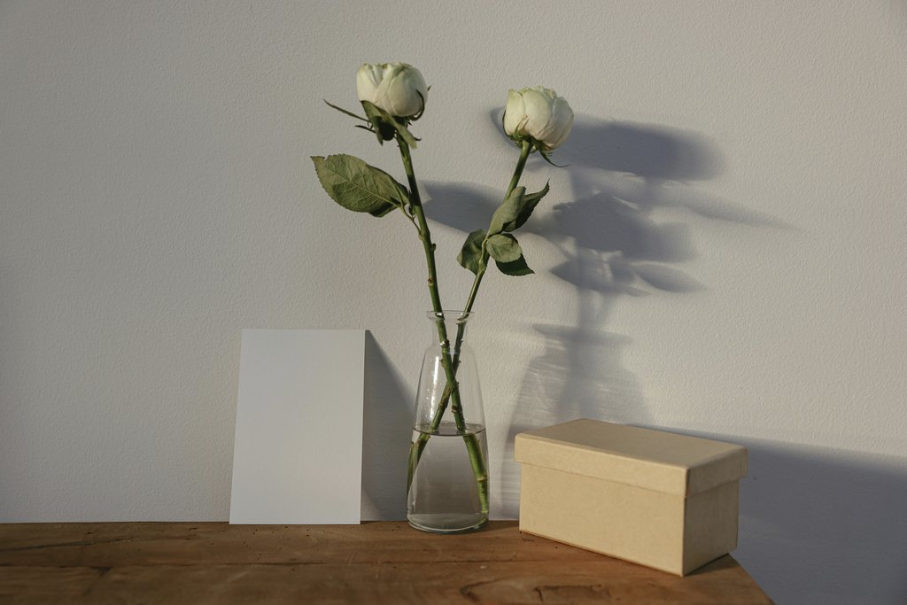 Cup of Couple - A minimalist still life featuring white roses, a card, and a box with natural lighting.