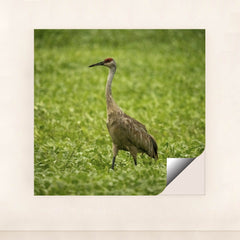 7090345312291 - Product Image