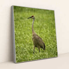 7090345312291 - Product Image