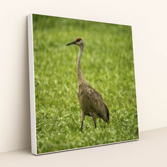 7090345312291 - Product Image