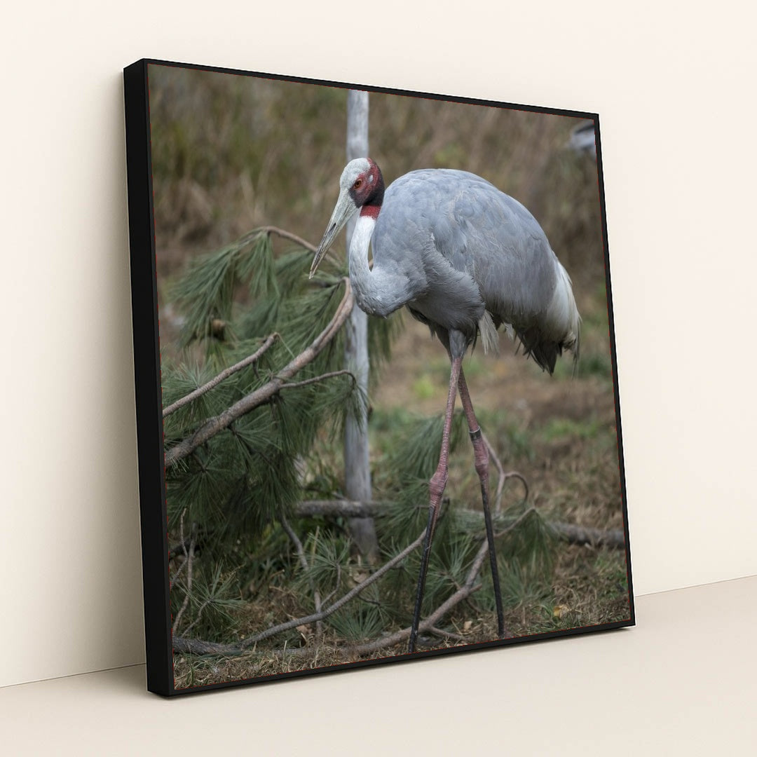 7090343772195 - Product Image