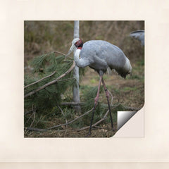 7090343772195 - Product Image