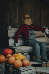Sergio Zhukov - A scarecrow in plaid shirt and overalls sits on a wooden bench surrounded by pumpkins.