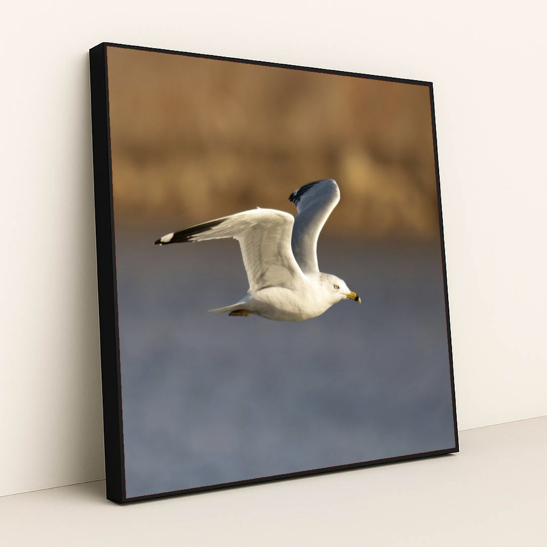 7090331844643 - Product Image