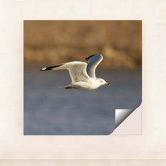 7090331844643 - Product Image