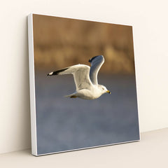 7090331844643 - Product Image