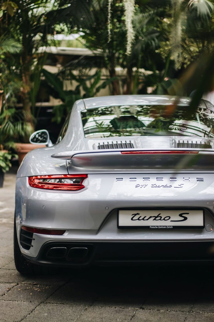 Silver 911 Turbo S Porsche Coupe in Focus parked among lush greenery, showcasing sleek design, ideal for car wall art.
