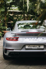 Silver 911 Turbo S Porsche Coupe in Focus parked among lush greenery, showcasing sleek design, ideal for car wall art.