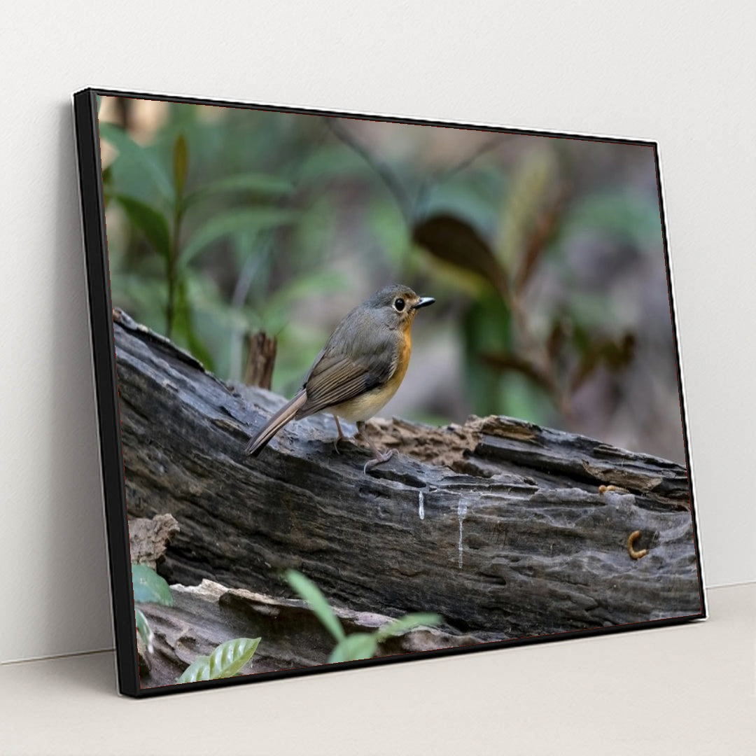 7090232557603 - Product Image