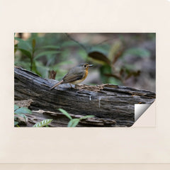 7090232557603 - Product Image