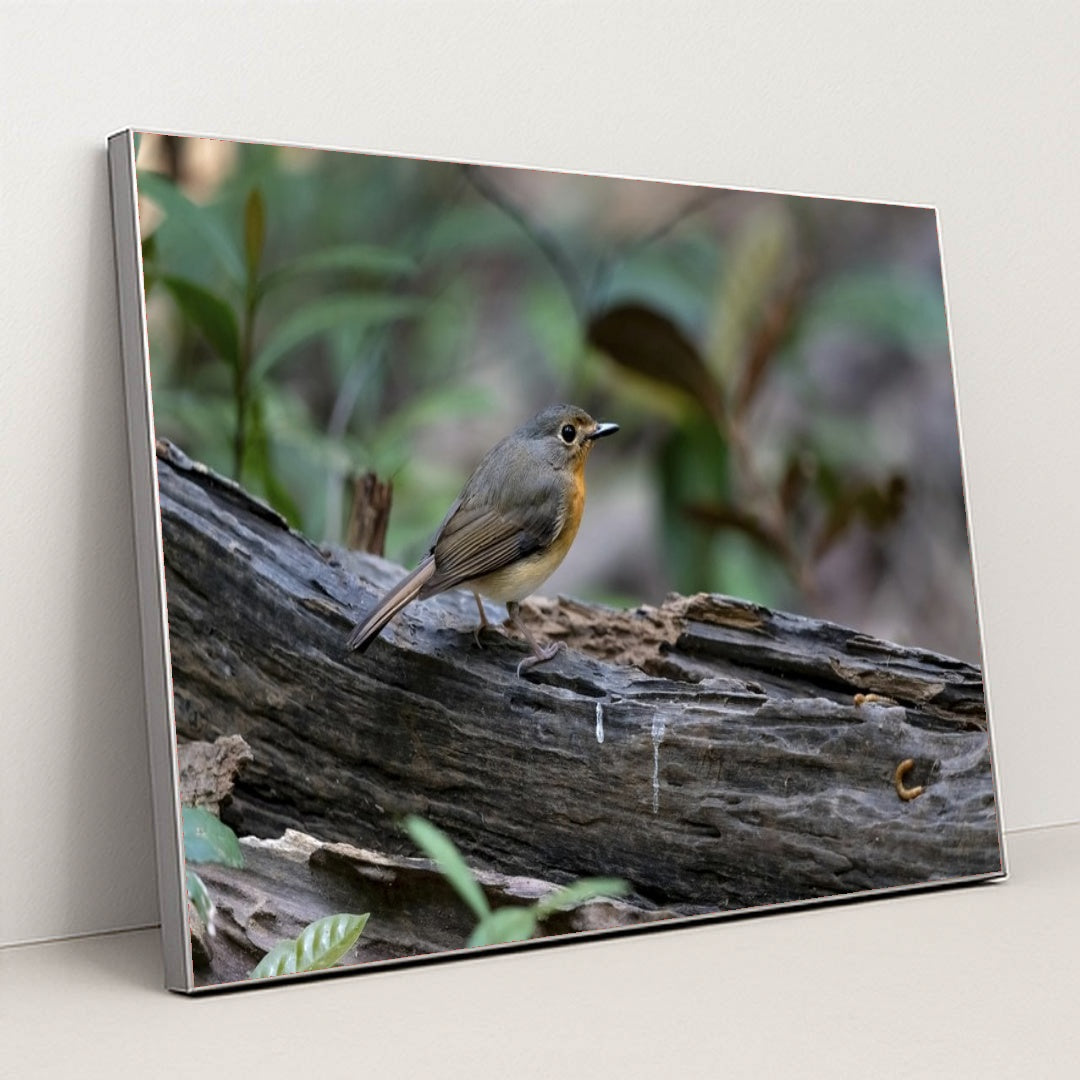 7090232557603 - Product Image