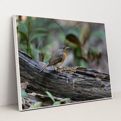 7090232557603 - Product Image