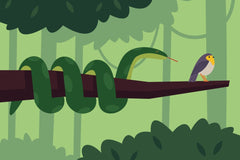 Andania Humaira - A bird sitting on a tree branch in a forest