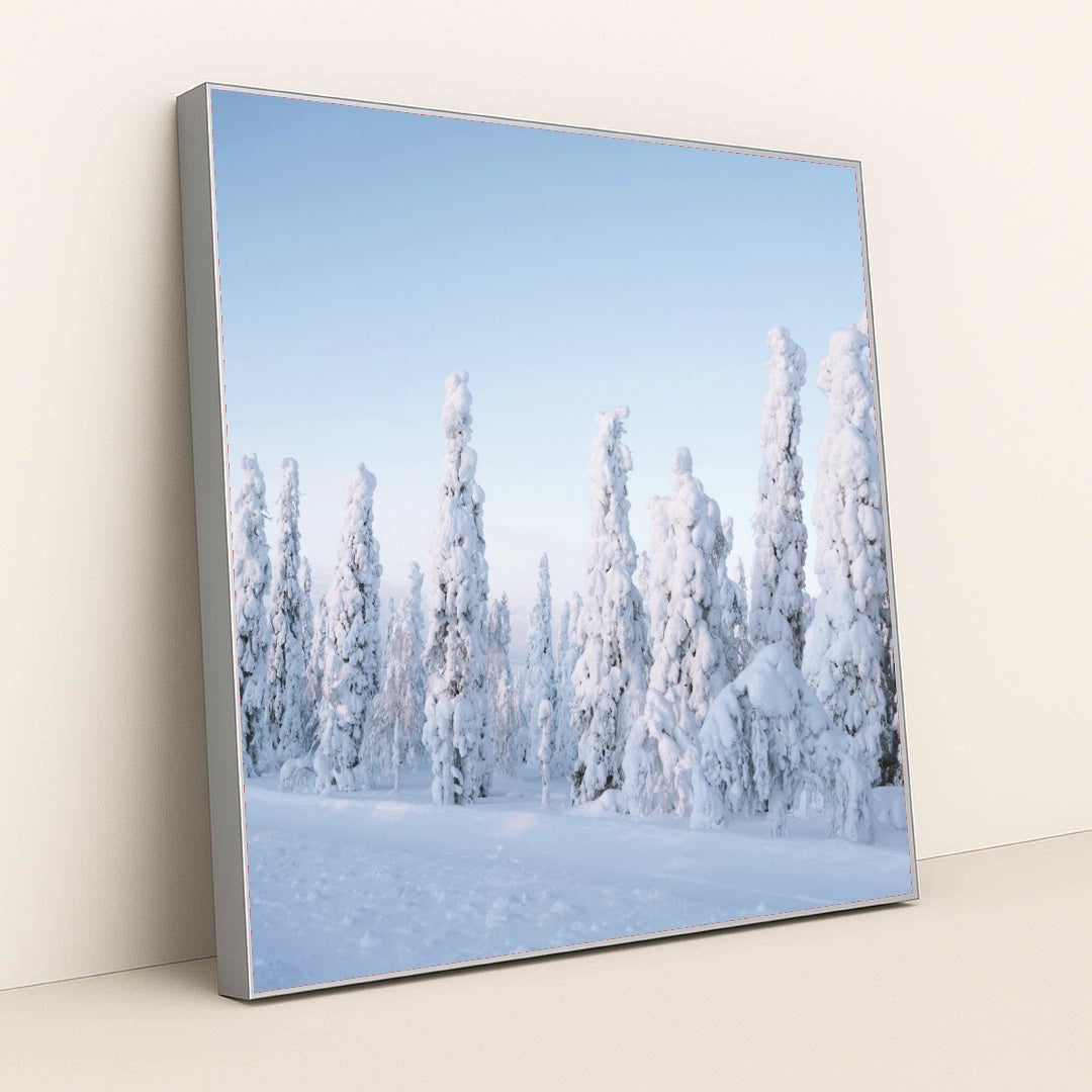 7090356355107 - Product Image