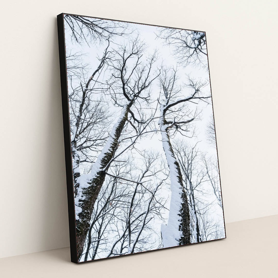 7090343804963 - Product Image