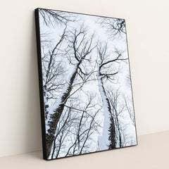 7090343804963 - Product Image