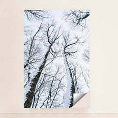 7090343804963 - Product Image