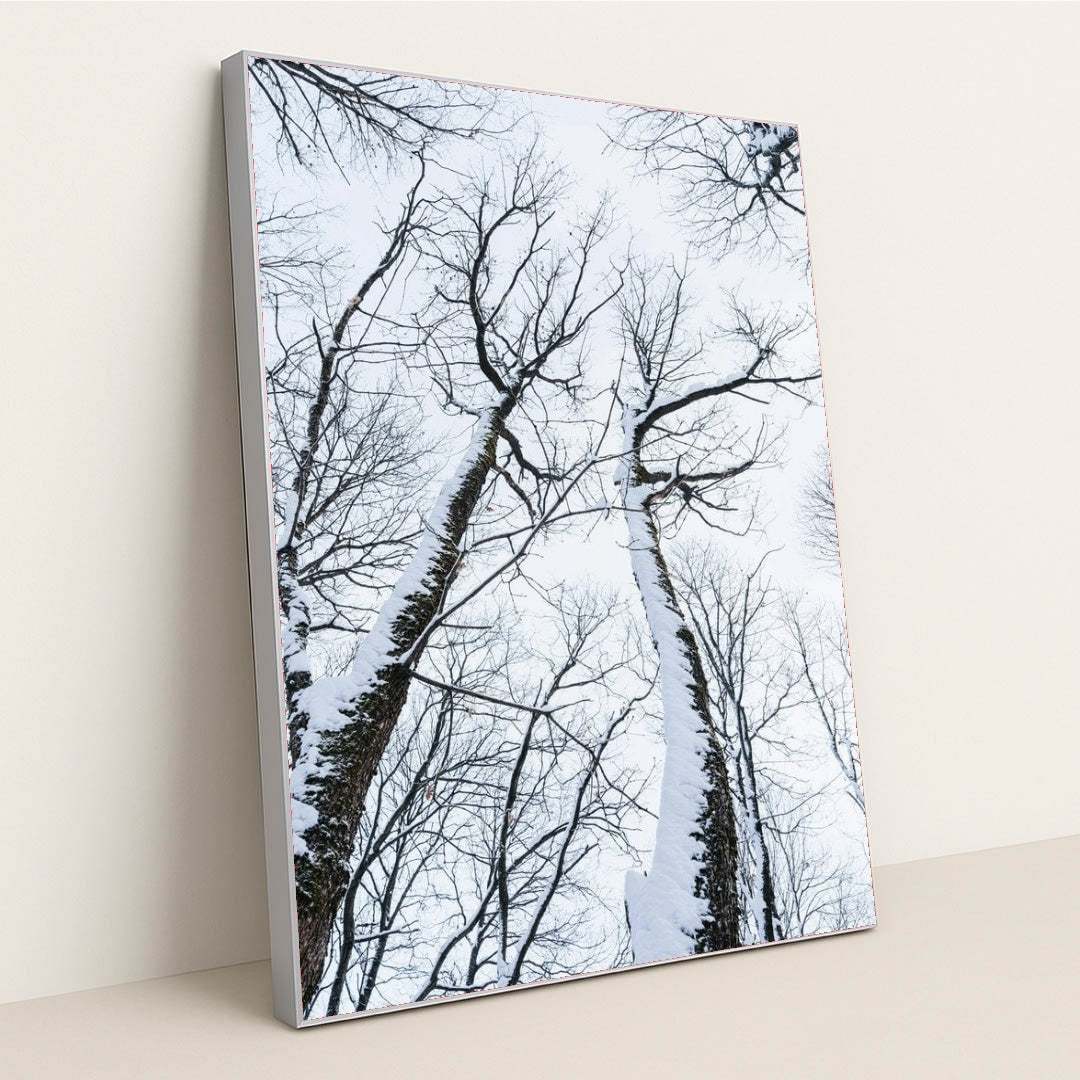 7090343804963 - Product Image