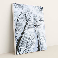 7090343804963 - Product Image