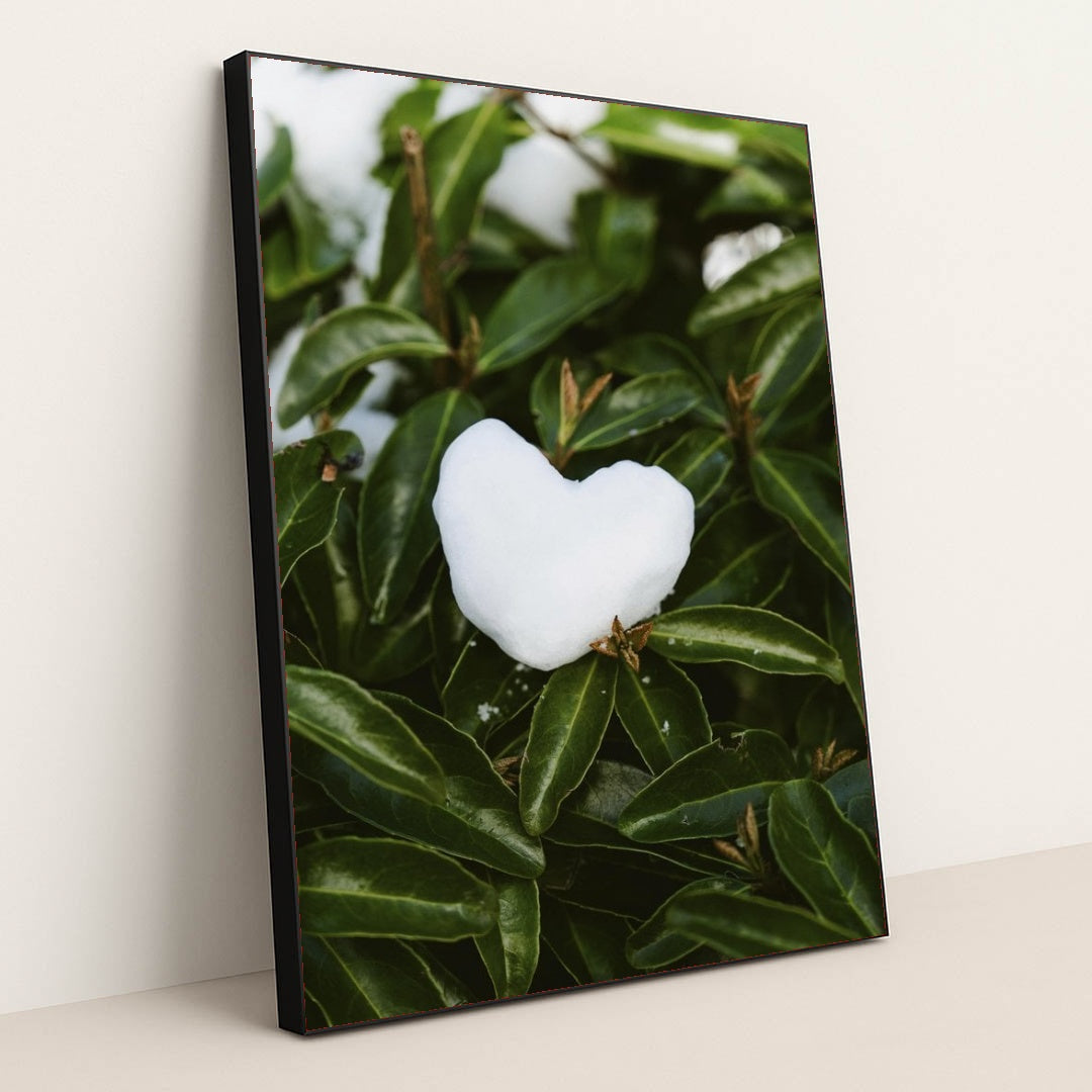 7090330370083 - Product Image