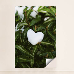 7090330370083 - Product Image