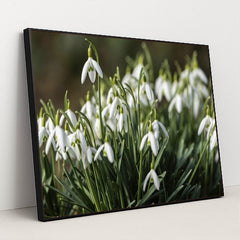 7090345639971 - Product Image