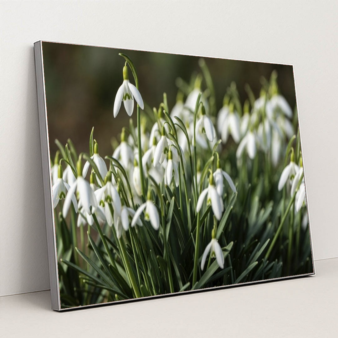 7090345639971 - Product Image