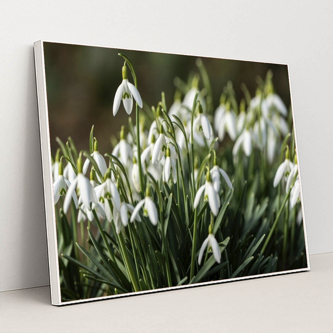 7090345639971 - Product Image