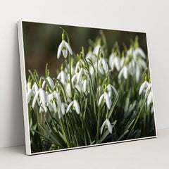 7090345639971 - Product Image