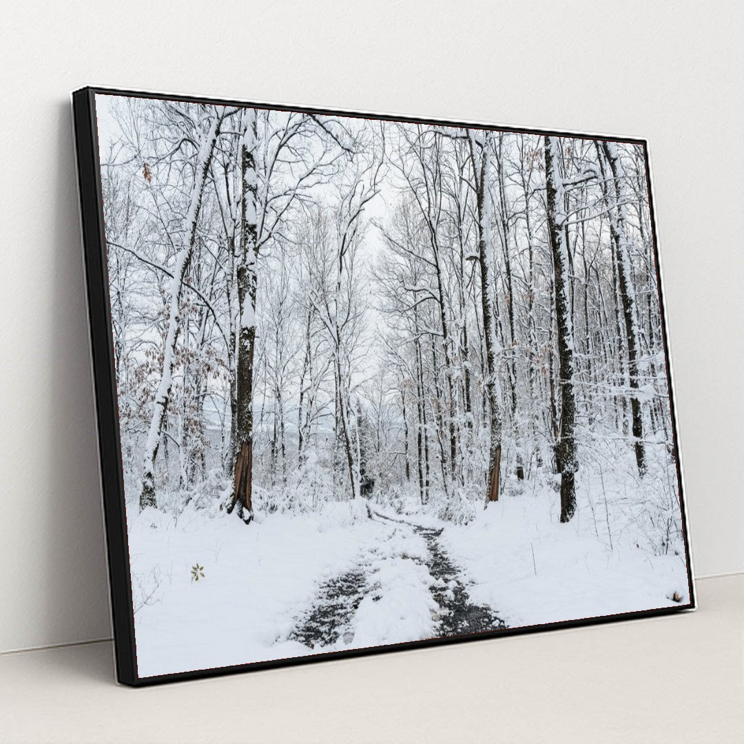 7090804064291 - Product Image