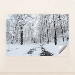 7090804064291 - Product Image