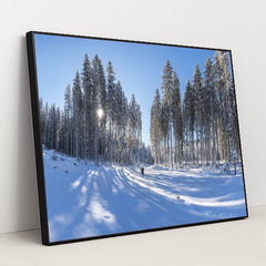 7090349604899 - Product Image