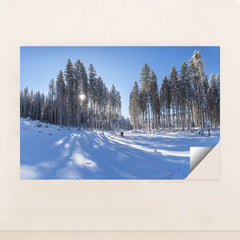 7090349604899 - Product Image