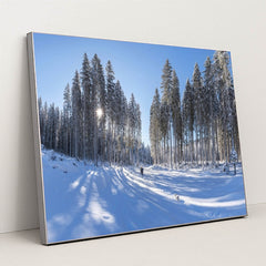 7090349604899 - Product Image