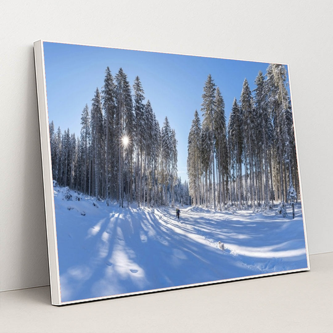 7090349604899 - Product Image