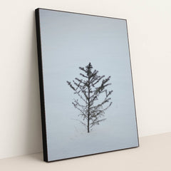 7090291212323 - Product Image