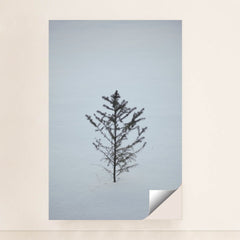 7090291212323 - Product Image