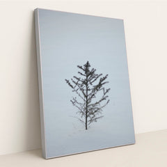 7090291212323 - Product Image