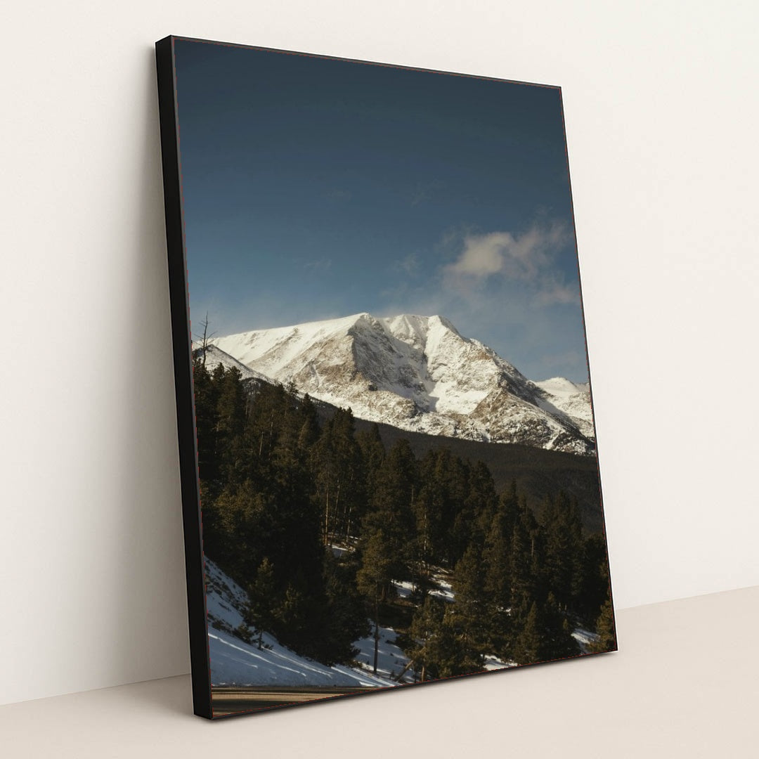 7090341904419 - Product Image