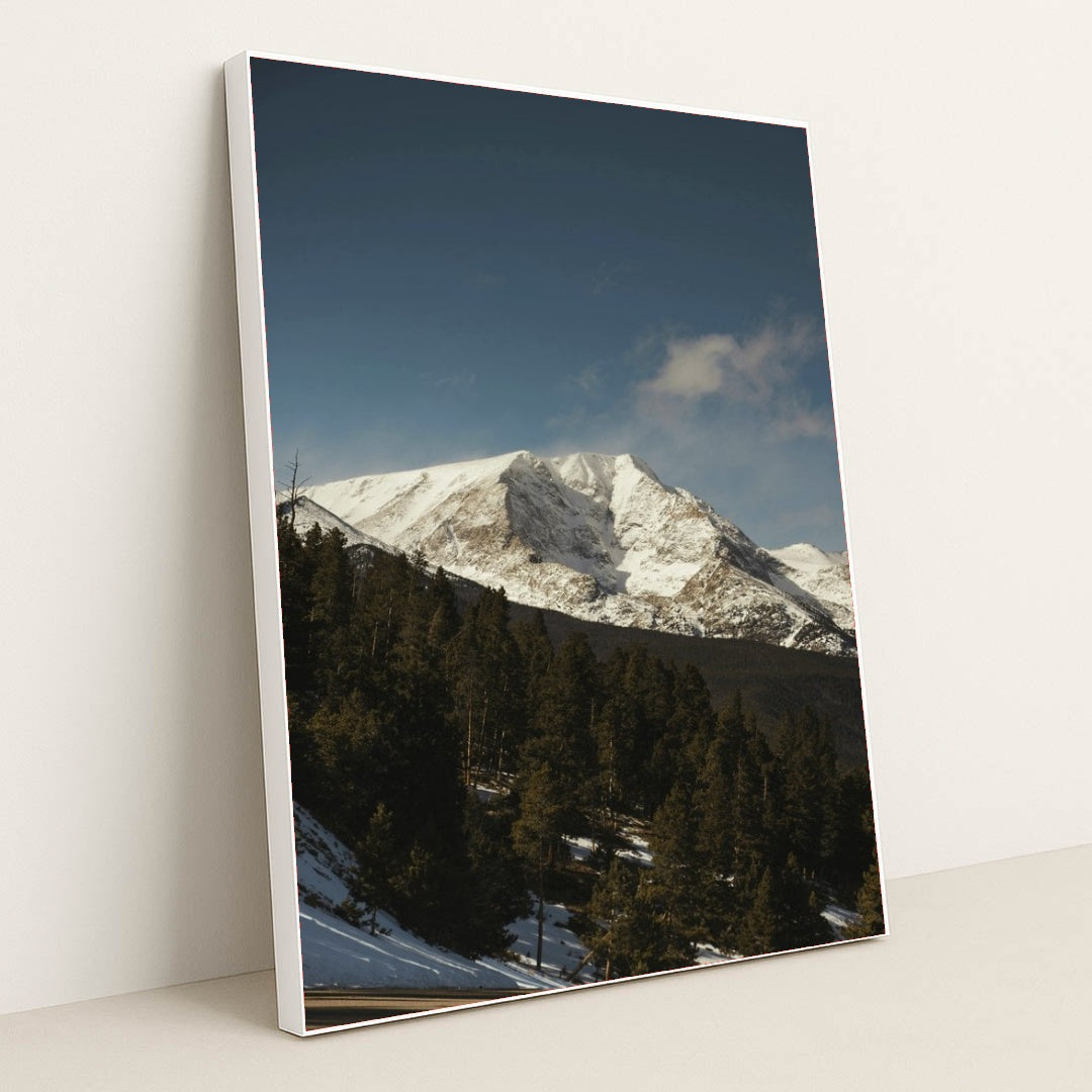 7090341904419 - Product Image