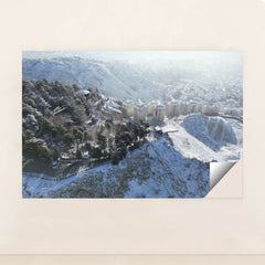 7090337939491 - Product Image