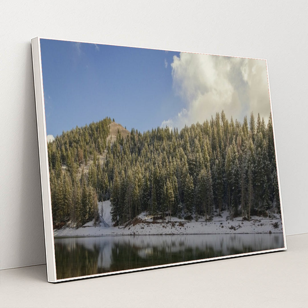 7090355011619 - Product Image